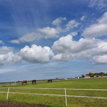 Braemar Equestrian, East Riding Of Yorkshire Hotel Burton Pidsea Екстериор снимка