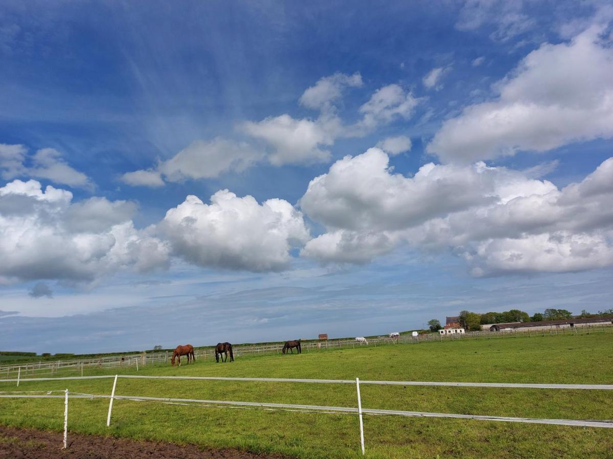 Braemar Equestrian, East Riding Of Yorkshire Hotel Burton Pidsea Екстериор снимка
