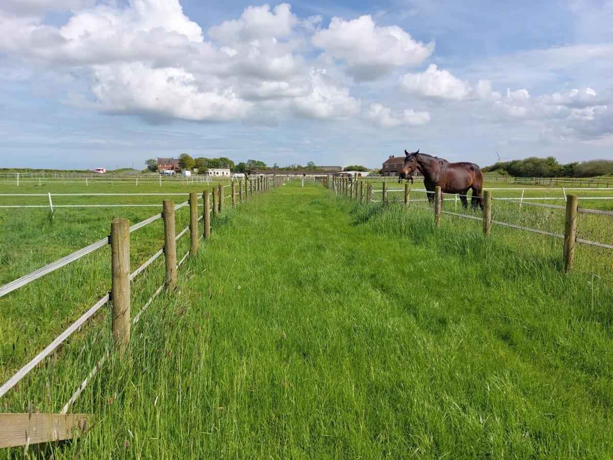 Braemar Equestrian, East Riding Of Yorkshire Hotel Burton Pidsea Екстериор снимка