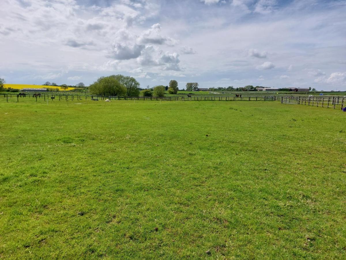 Braemar Equestrian, East Riding Of Yorkshire Hotel Burton Pidsea Екстериор снимка